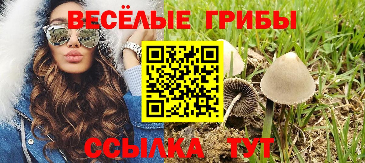 Симферополь  Галлюциногенные грибы Cubensis  Вход с VPN 
